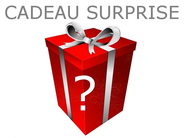 Cadeaux comité d’entreprise : CADEAUX CE cadeau surprise brico jardin