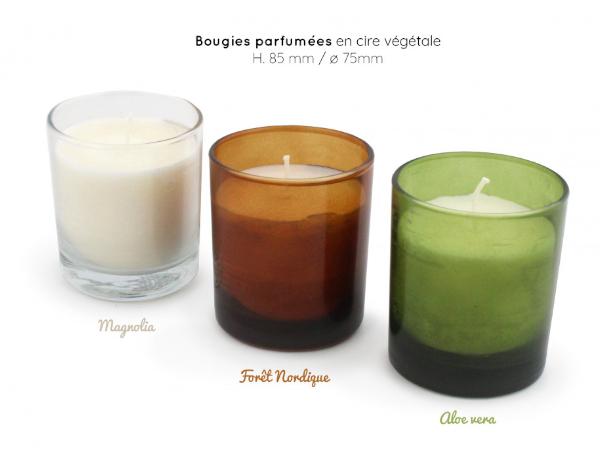 Bougies végétales parfumées Bougies du Monde – Bougies Du Monde BtoB